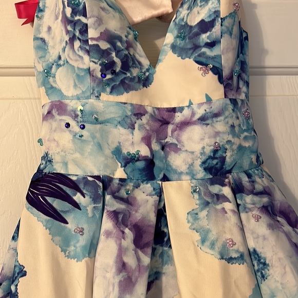 Gorgeous Madeline Gardner prom Dress Size 4 - Picture 16 of 16